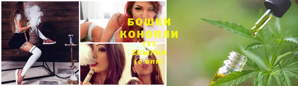 дживик Заводоуковск
