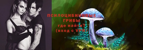 шишки Заволжье
