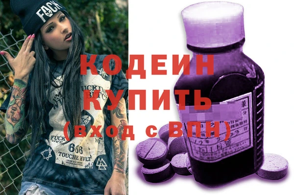 шишки Заволжье