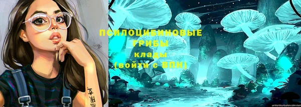молекула духа Заволжск