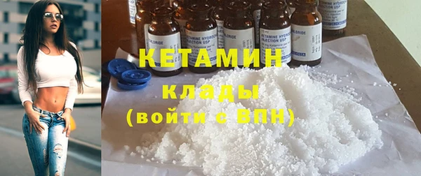 шишки Заволжье
