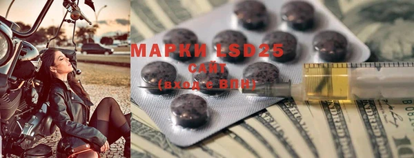 шишки Заволжье