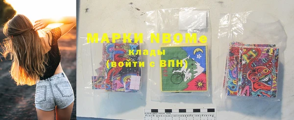 шишки Заволжье