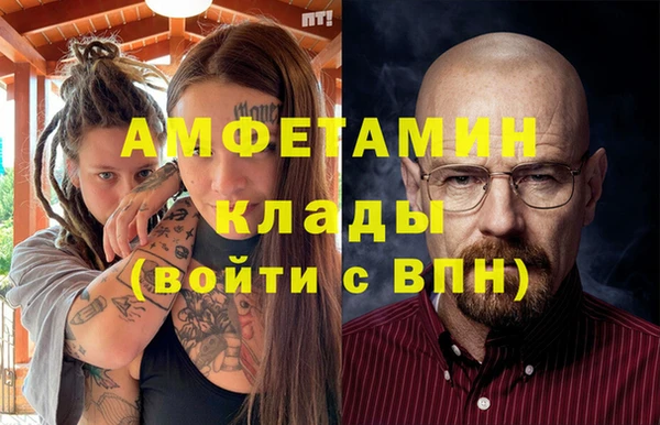 шишки Заволжье