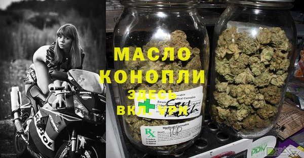 шишки Заволжье