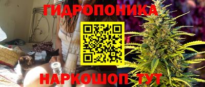 амф Лесосибирск