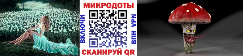 omg ссылки  Карабулак  Галлюциногенные грибы Psilocybe 