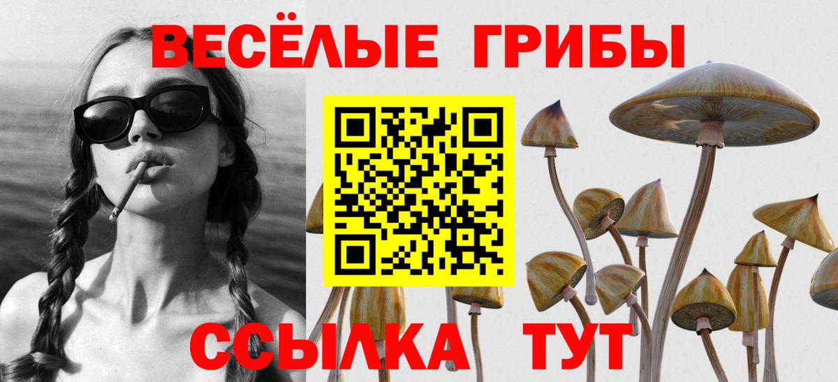 Карабулак  Галлюциногенные грибы GOLDEN TEACHER  Вход с VPN 