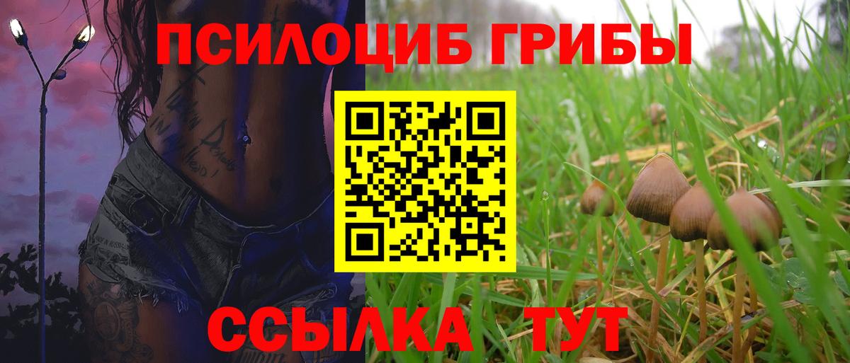 Псилоцибиновые грибы GOLDEN TEACHER Карабулак