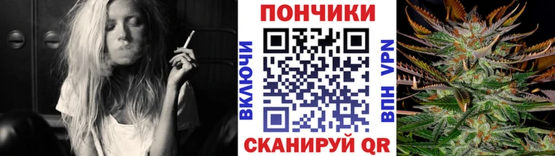 kraken сайт  магазин    Карабулак  Бошки марихуана сатива 